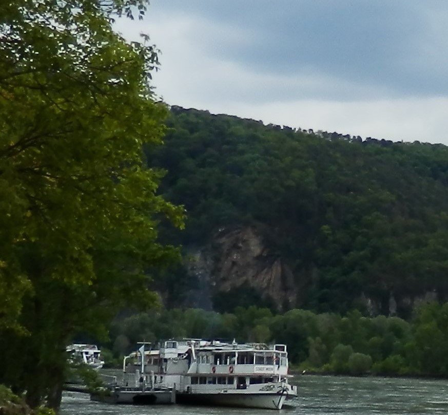 MS Stadt Wien景点图片