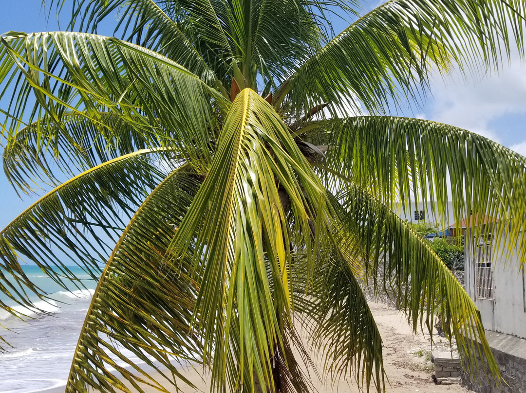 Emerald Taxi & Tours-Green Island必去景点