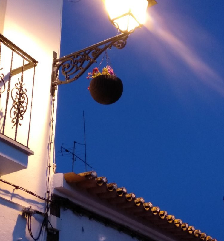 Casa do Largo - Golega主图