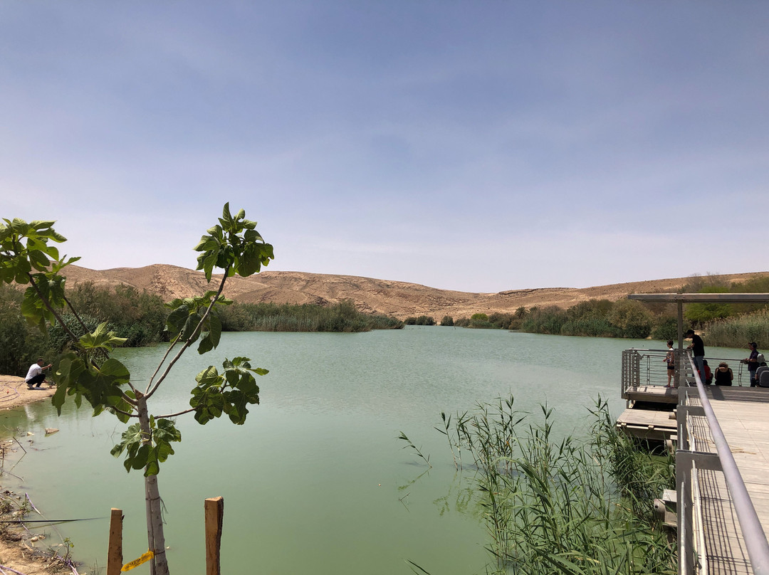 Yeruham Park and Lake景点图片