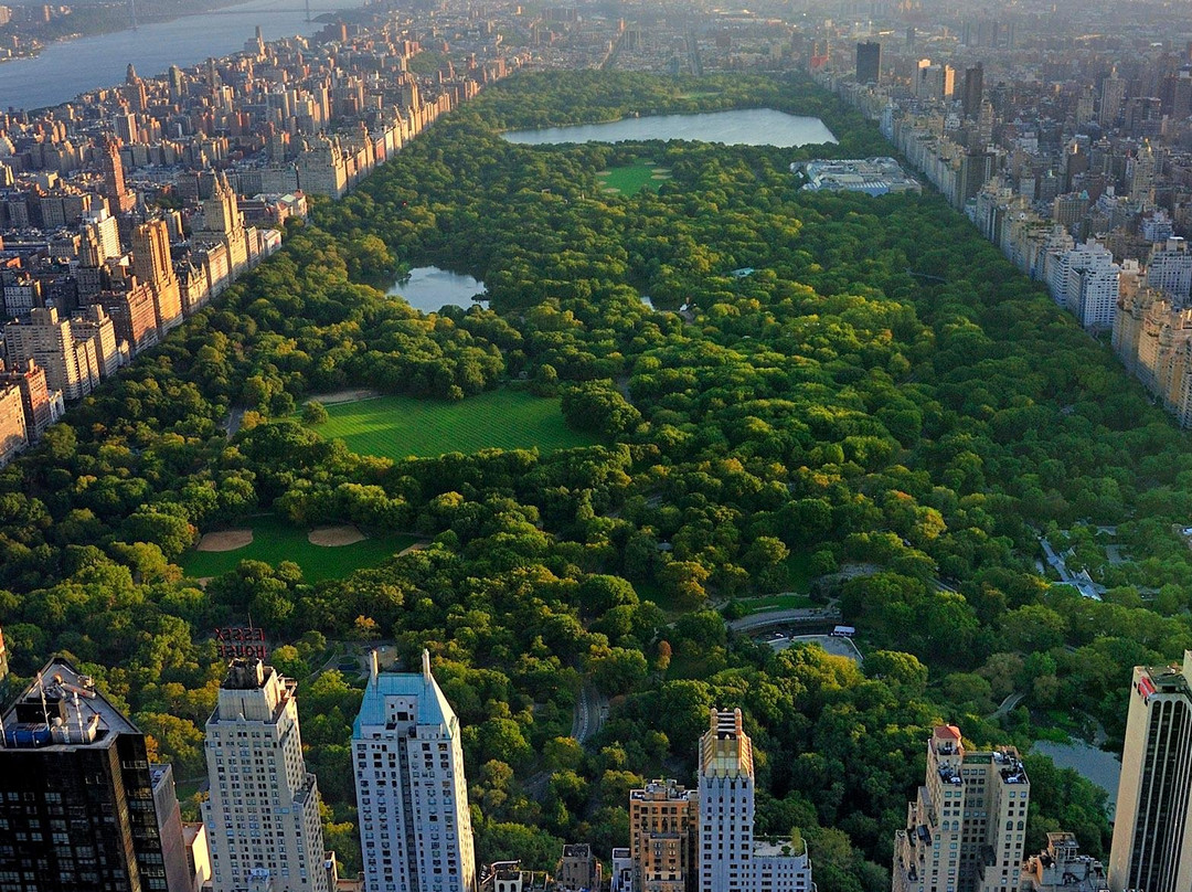 Official Central Park pedicab Tours-纽约市必去景点