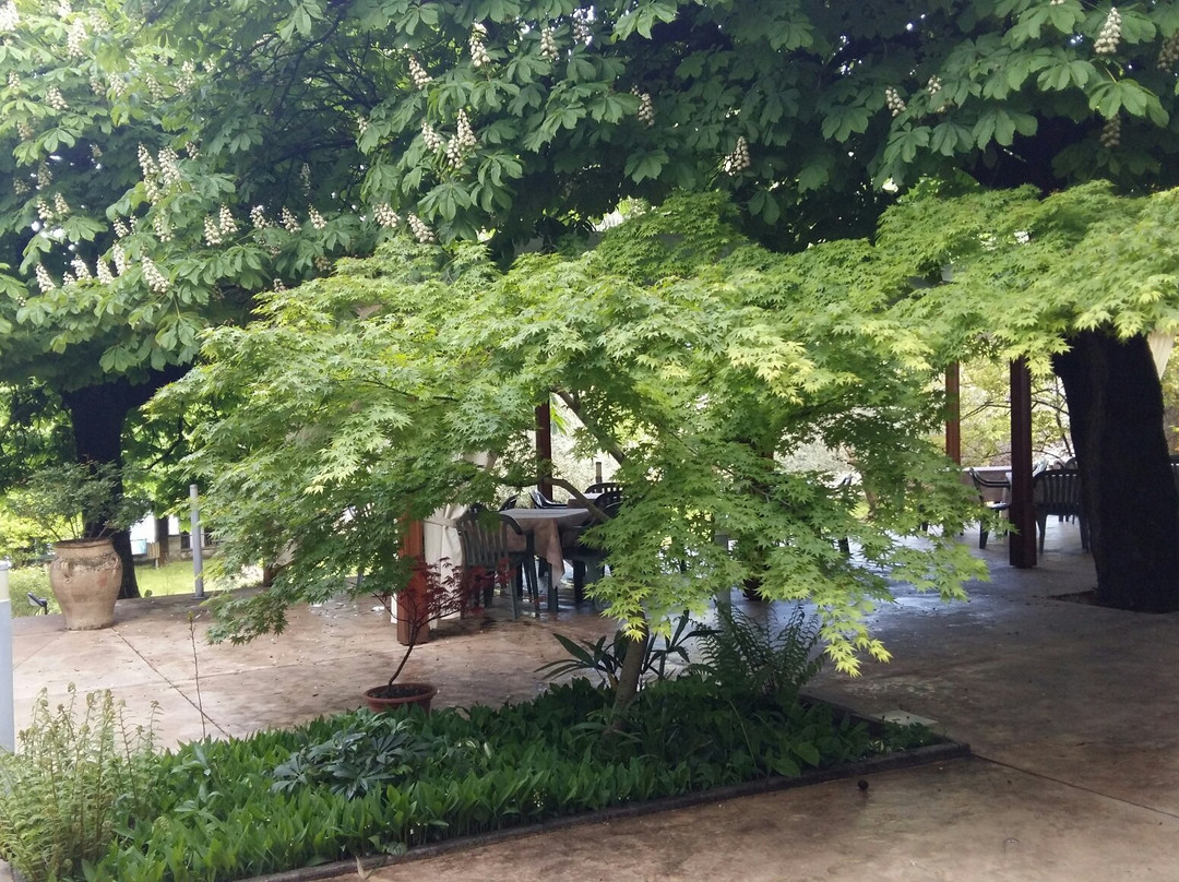 Albergo Ristorante Aquila主图