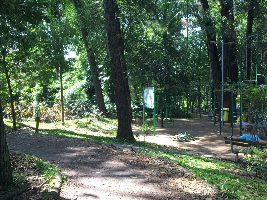 Antônio Pezzolo Park景点图片