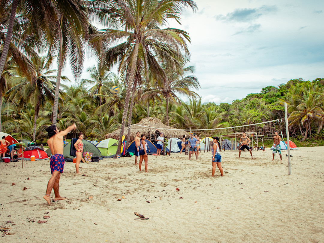 Playa Los Angeles主图