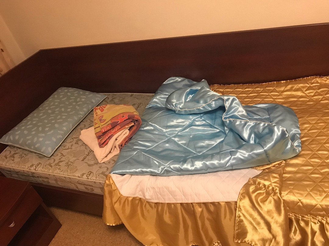 Severnaya Hotel主图