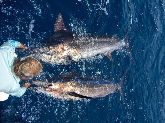 Arabian Fly Sport Fishing-塞拉莱必去景点