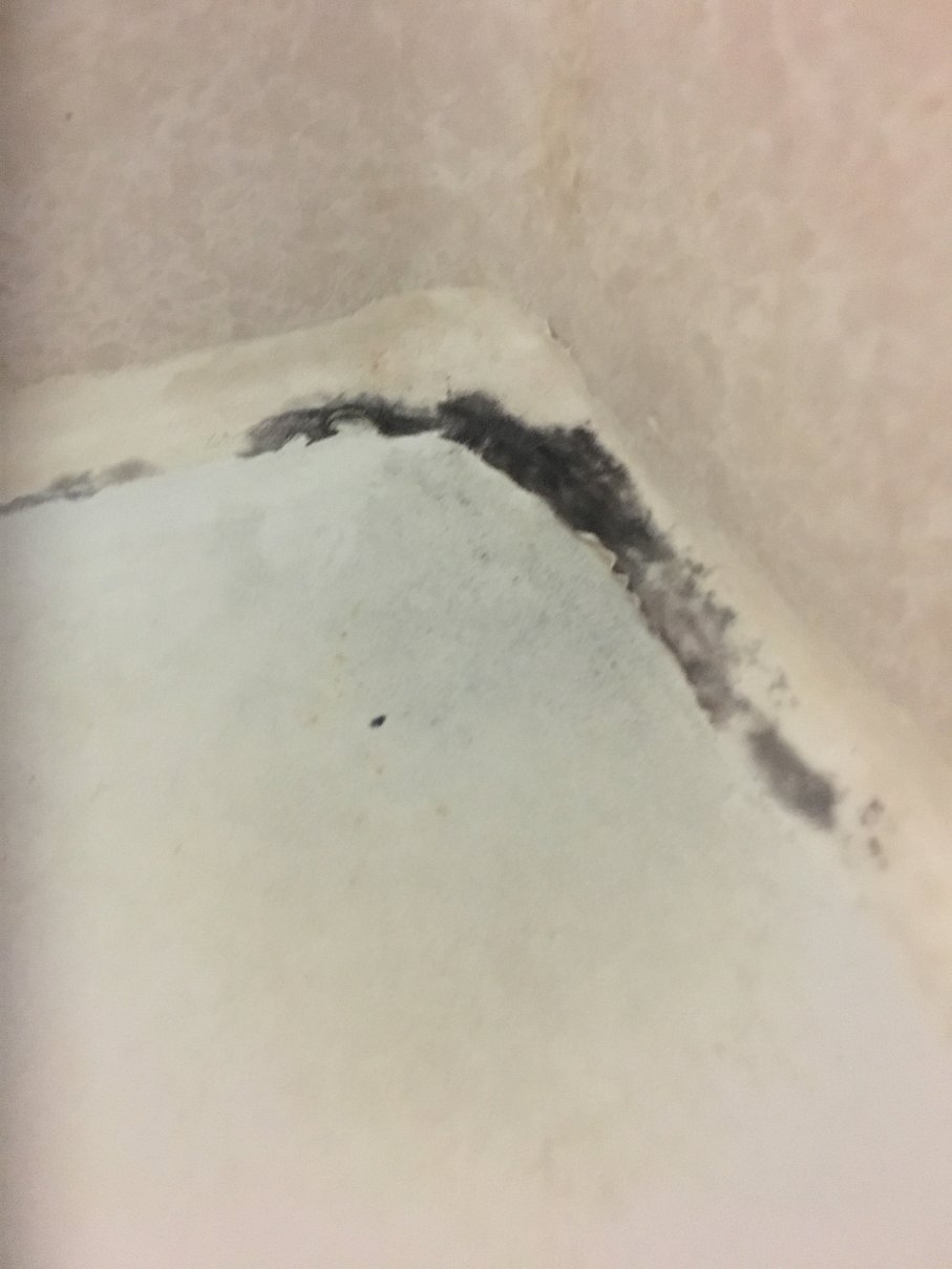 蓝鸟汽车旅馆-浴室