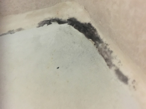 蓝鸟汽车旅馆主图