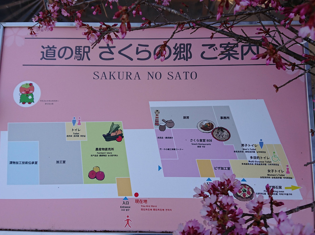 Michi-no-Eki Sakura no Sato-二松本市必去景点