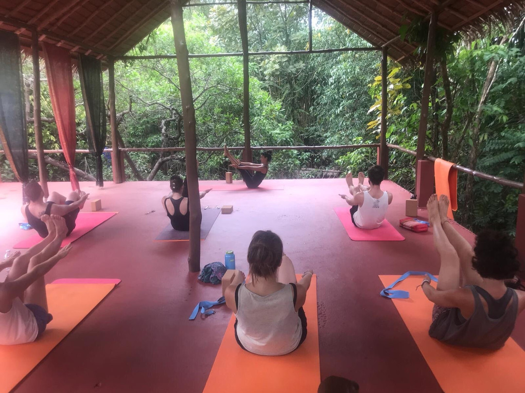 PAUSE - Surf & Yoga House景点图片