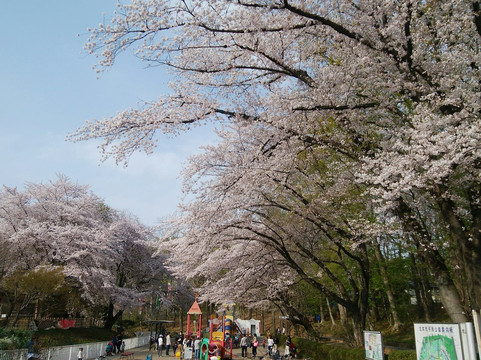 Kitamoto City Kodomo Park-北本市必去景点