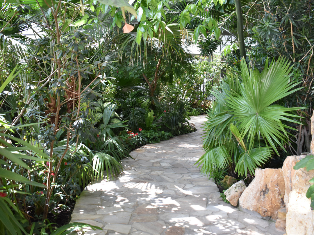 Bayan Botanical Garden-Kuwait City必去景点