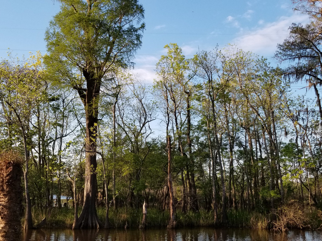 奥兰治餐馆和美食-Bluebird Fish Camp