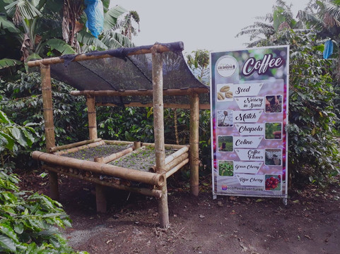 Colombian Coffee Adventures-亚美尼亚必去景点