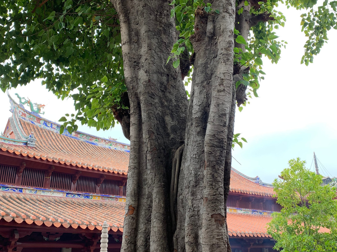 开元寺景点图片