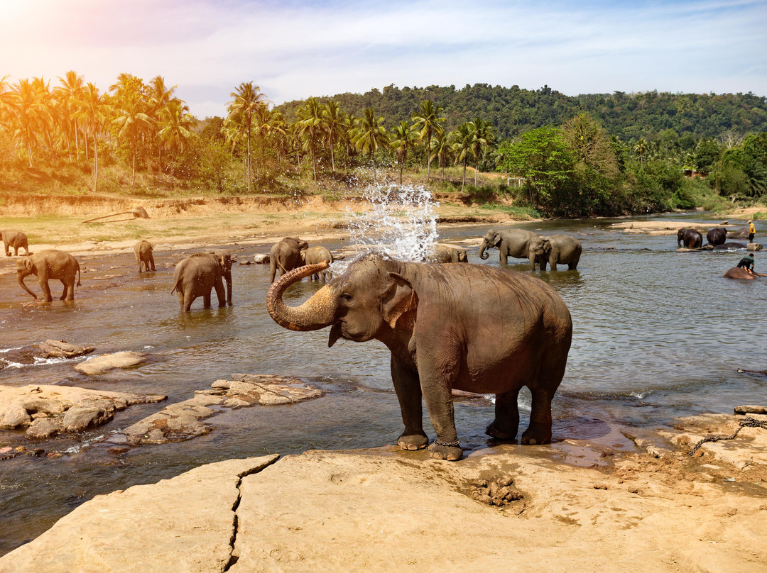 Tropical Lanka Getaways景点图片