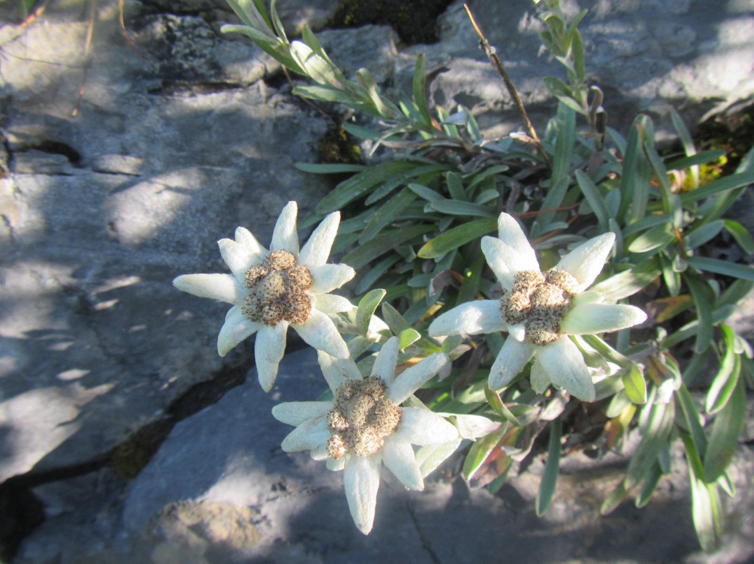 Mt. Obira-岛牧村必去景点