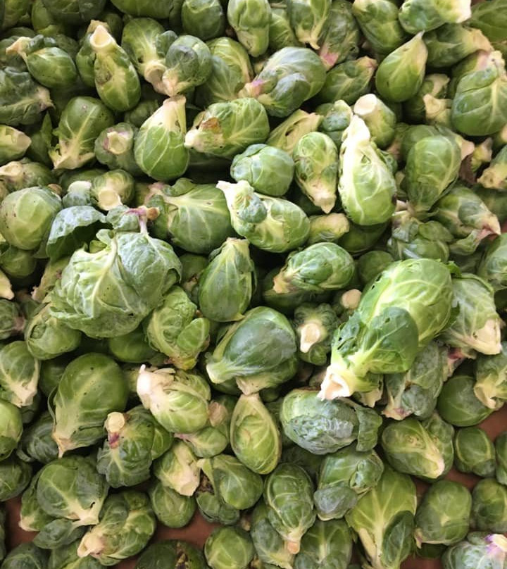 Redland Community Farm and Market-霍姆斯特德必去景点