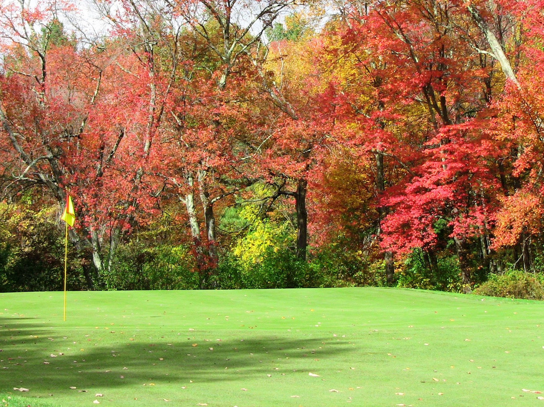 Campbell's Scottish Highlands Golf Course景点图片