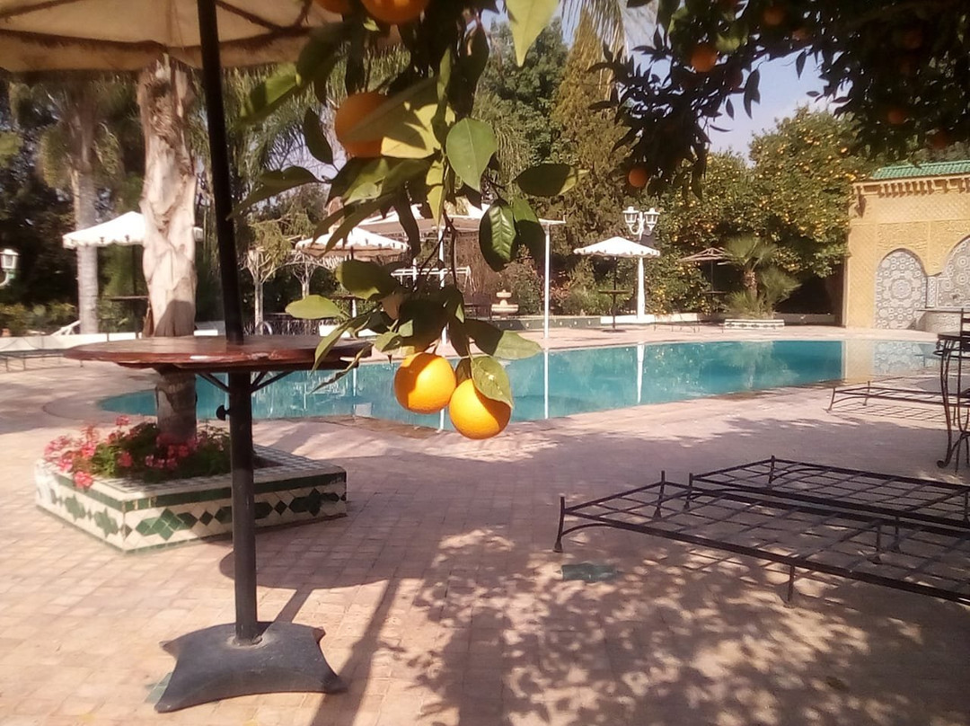 Riad Hotel l'Arganier d'Or主图