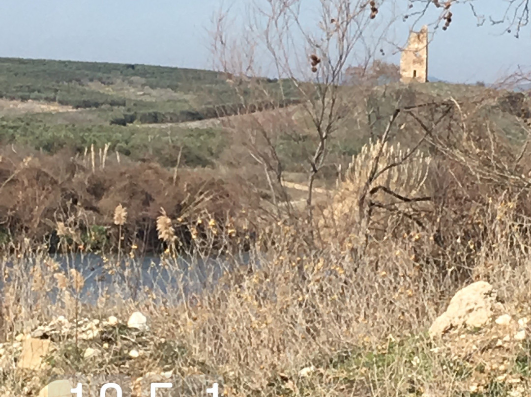 Olinthos旅游攻略图片