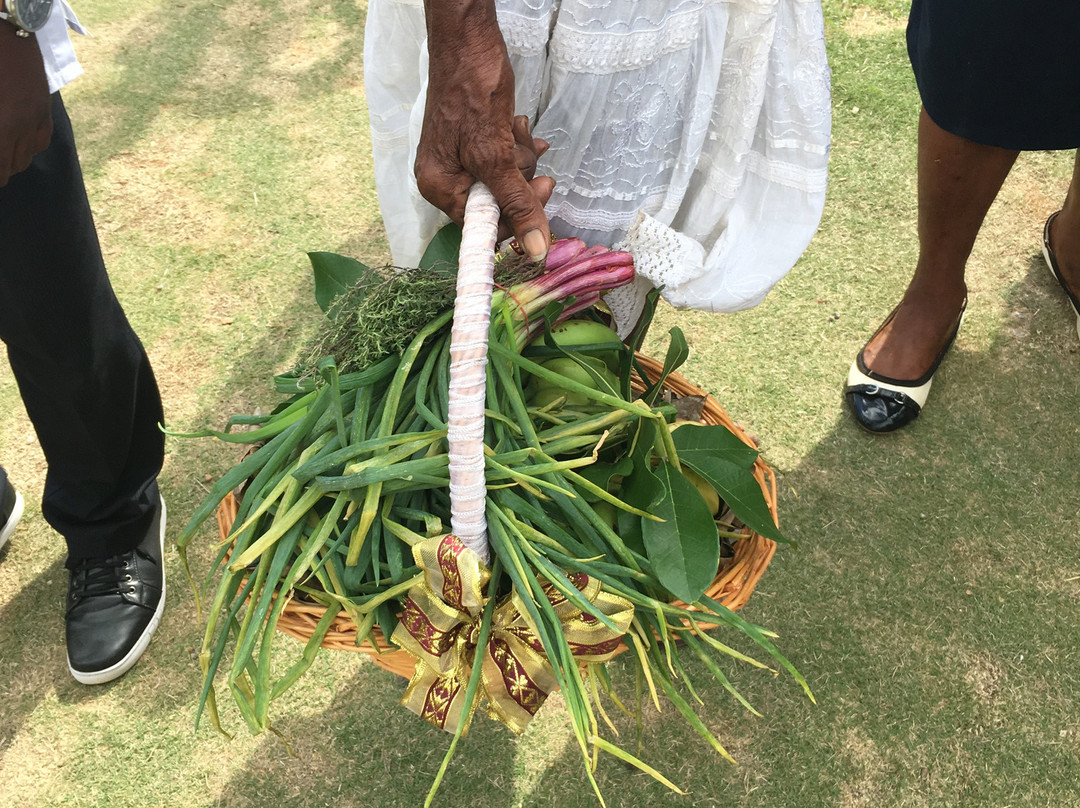 St Mary Catholic Church, Revival, Jamaica-内格里尔必去景点