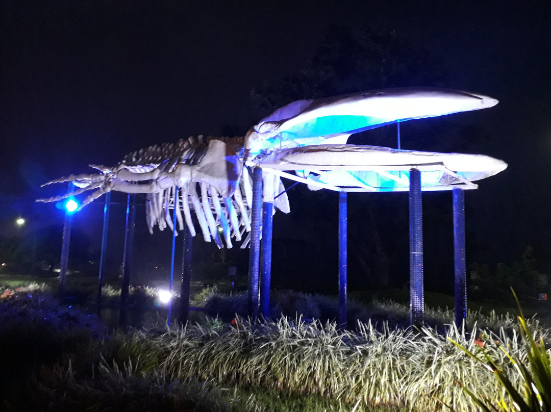 Praca da Baleia-乌巴图巴必去景点