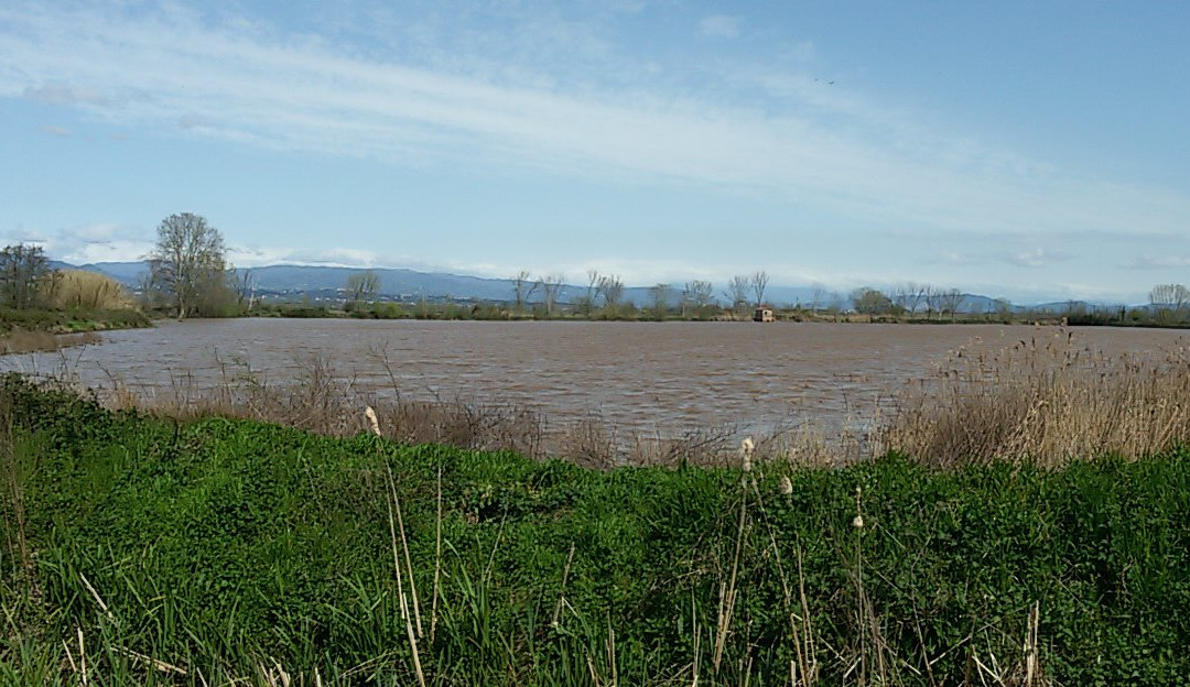 Lago della Gherardesca景点图片