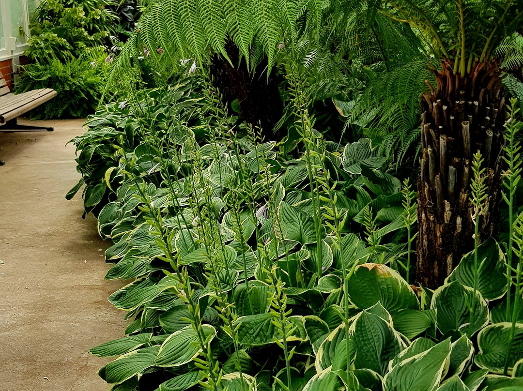 Bendigo Walking Tours-本迪戈必去景点