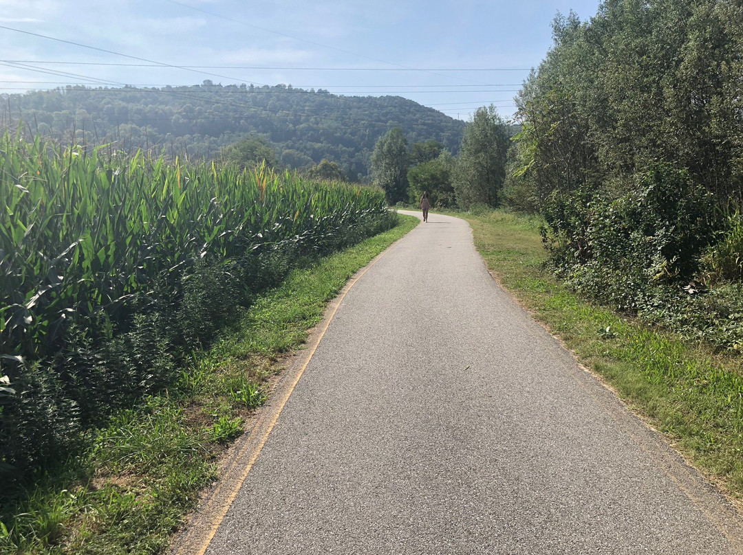Pista Ciclo-Pedonale Cittiglio - Laveno Mombello-Cittiglio必去景点