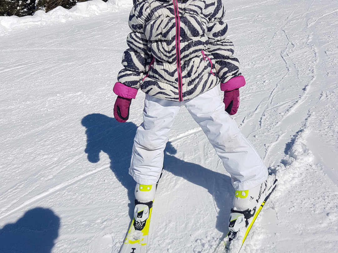 Maestri sci e snowboard Trentino Ski Emotion-平佐洛必去景点