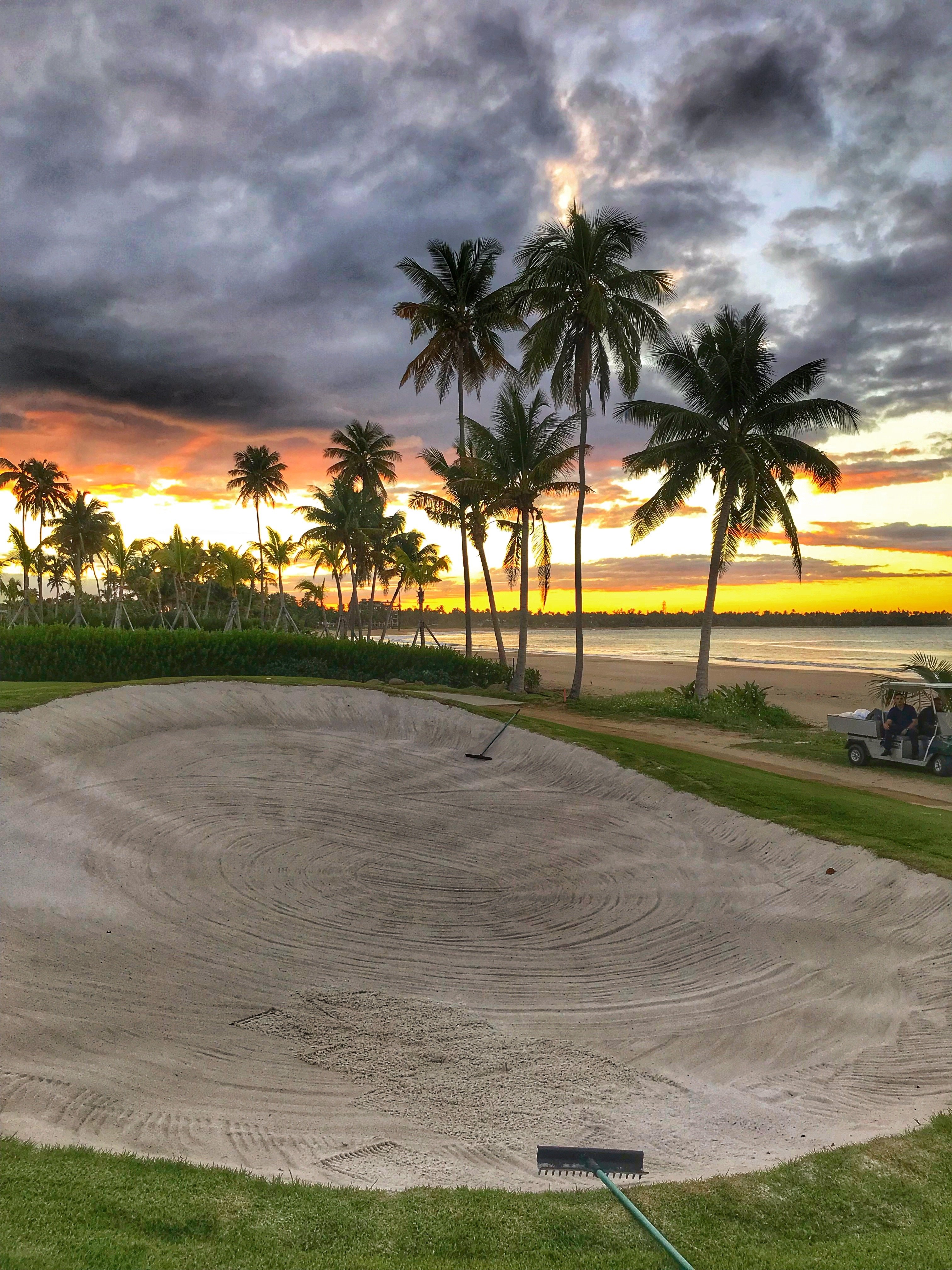 Bahia Beach Resort & Golf Club-portrait