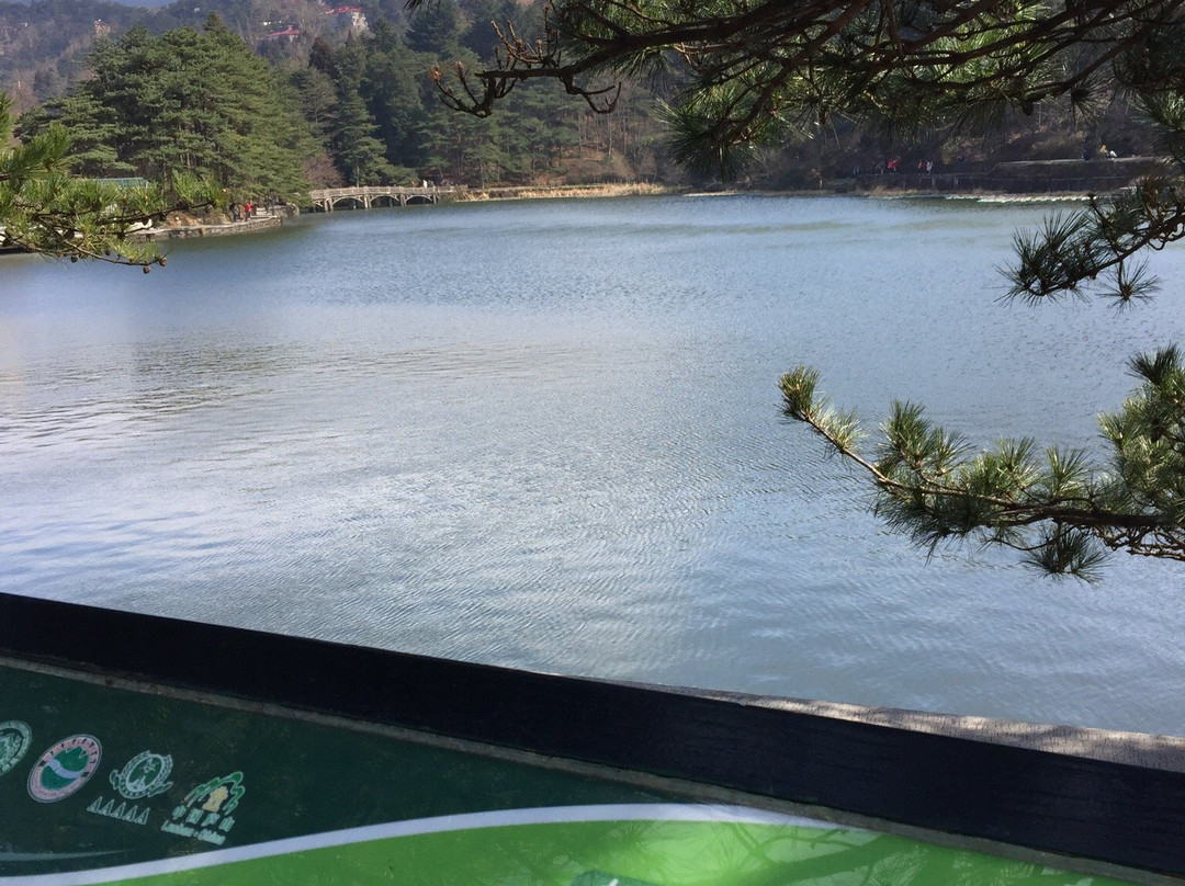 如琴湖景点图片