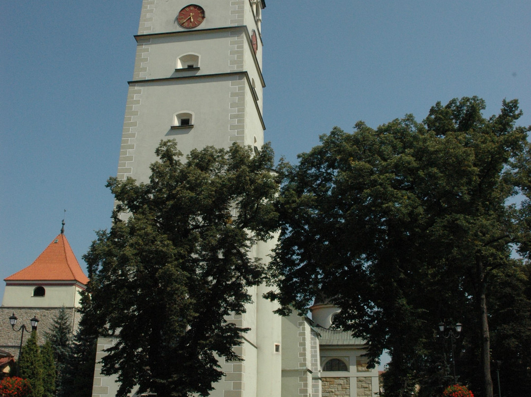 Konkatedra Narodzenia Najswietszej Maryi Panny-Zywiec必去景点