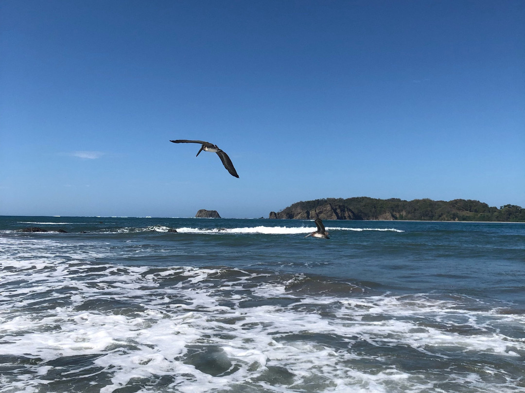 Nammbu Beachfront Bungalows主图