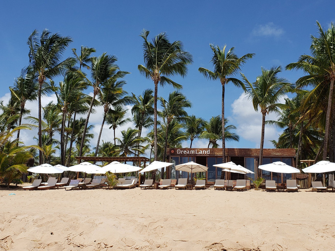 Dreamland Bungalows主图