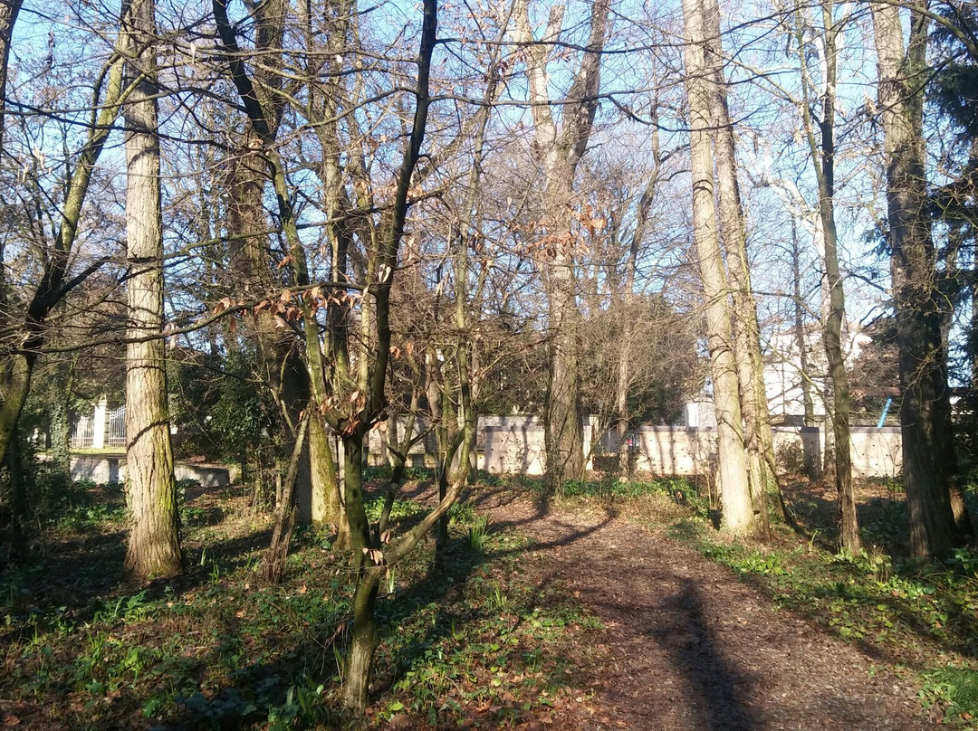 Stanghella旅游景点-Parco Pubblico "M.A. Centanini"