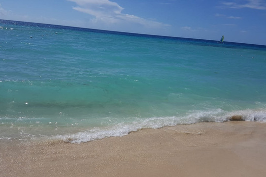 Playa Publica Dominicus-Bayahibe必去景点
