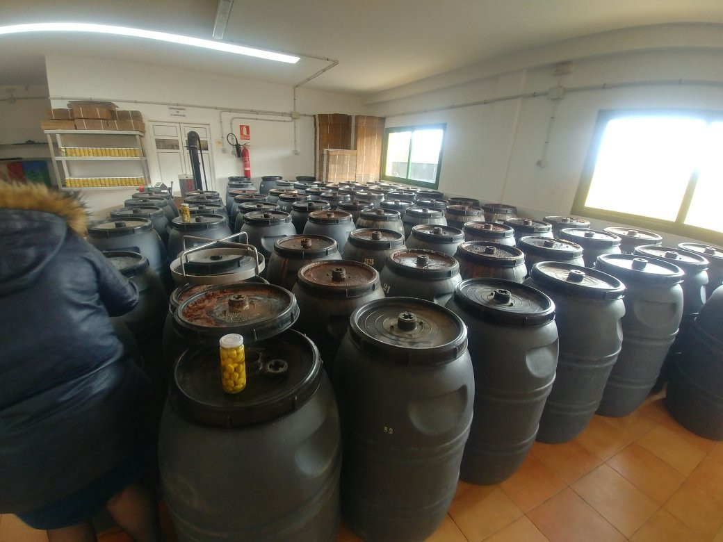Centro Ecológico Cultural Los Olivos景点图片