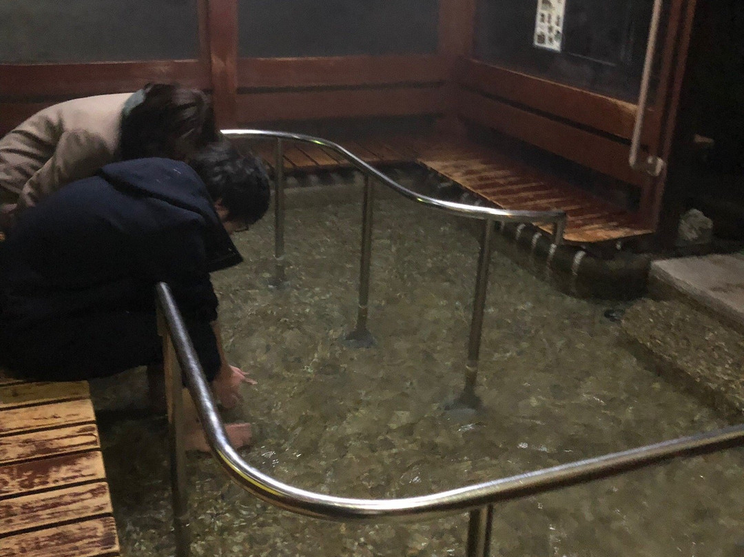 Megumi Hot Spring Park景点图片