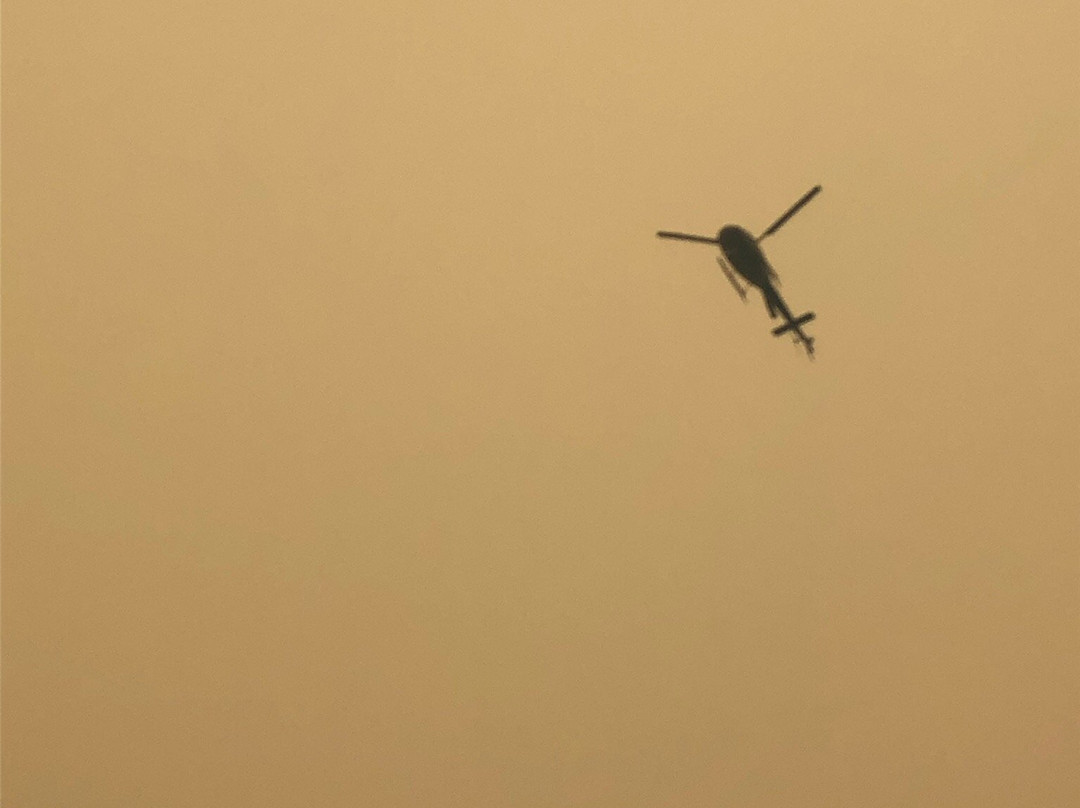 Dennes Point旅游景点-Coningham Nature Recreation Area