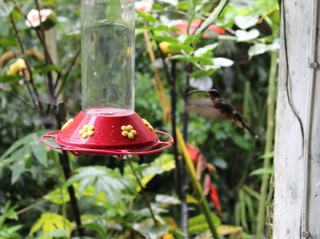 Hummingbird Gallery-Speyside必去景点