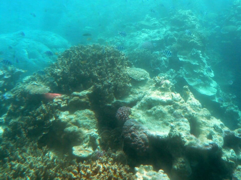 Capricornia Cays National Park-Gladstone必去景点