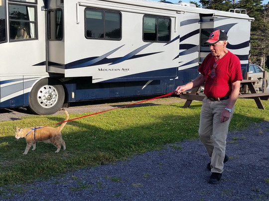 Pippy Park-圣约翰必去景点