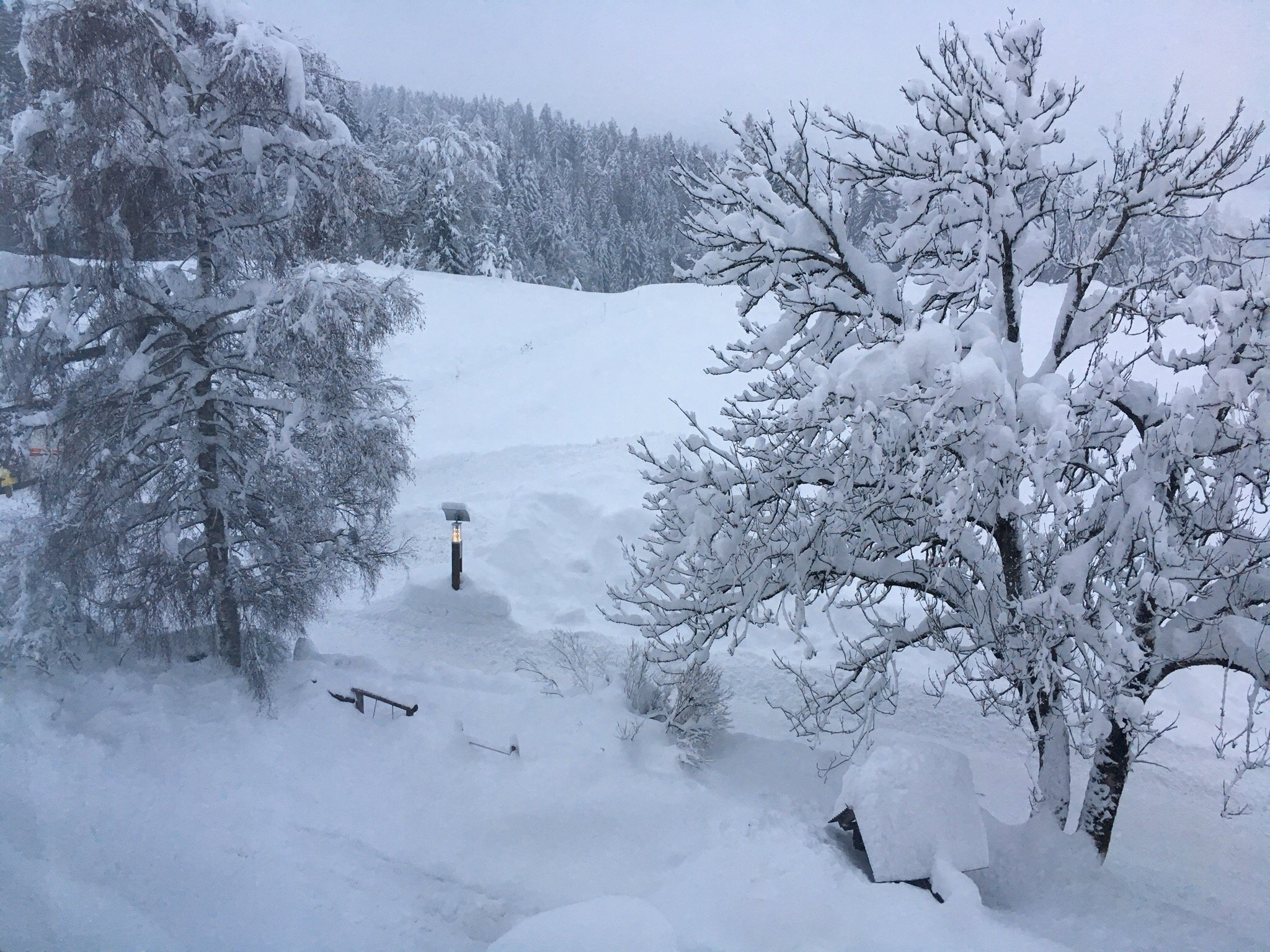 Cafe-Restaurant-Pension Zistelberghof-官方
