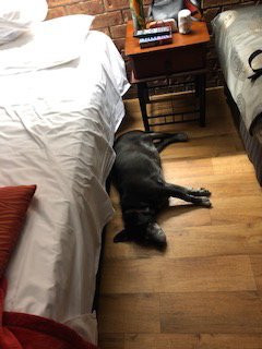 Jolly Swagman Motor Inn主图