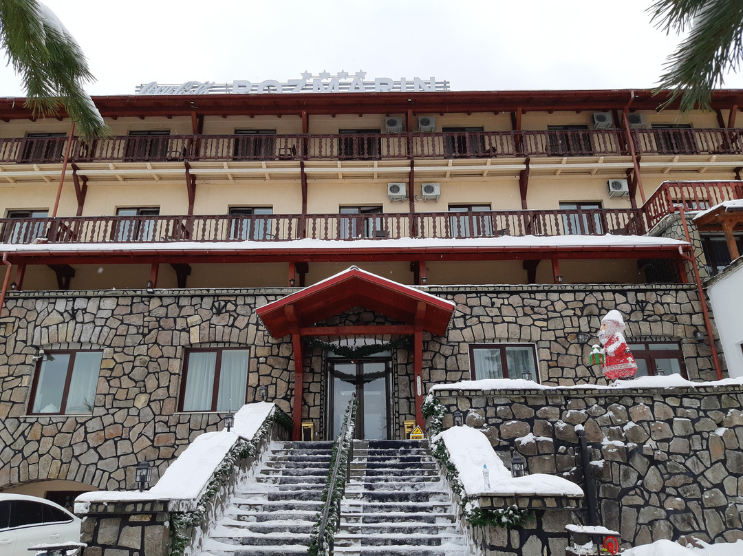 Hotel Rozmarin主图