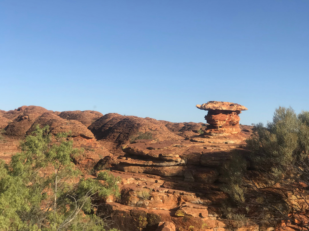 Kings Canyon Tour - ATT kings-邦迪必去景点