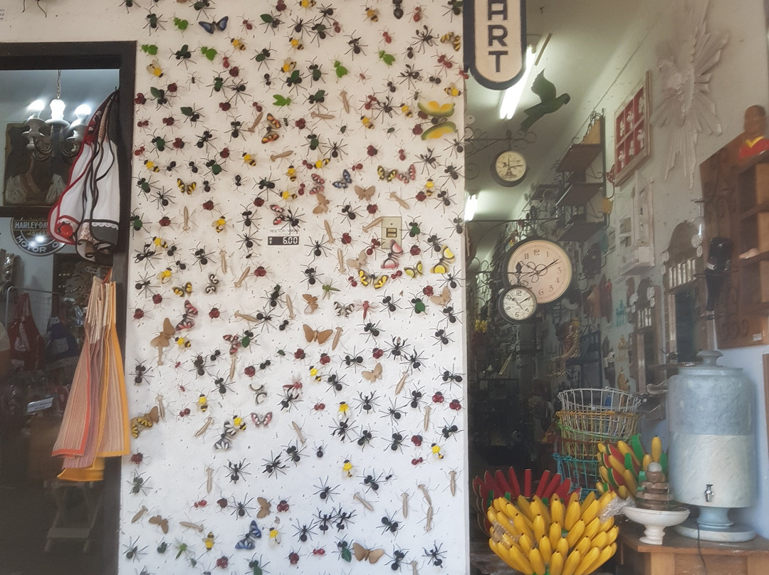 Galeria Nossa Senhora do Rosario-蒂拉登特斯必去景点