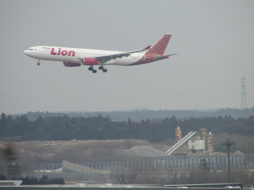 成田马罗德国际酒店主图
